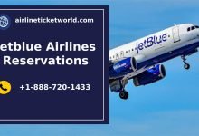 Photo of Everything you need to know about JetBlue Airways