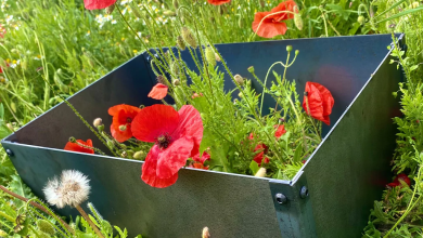 Photo of How To Raise A Planter In Your Garden For The Summer