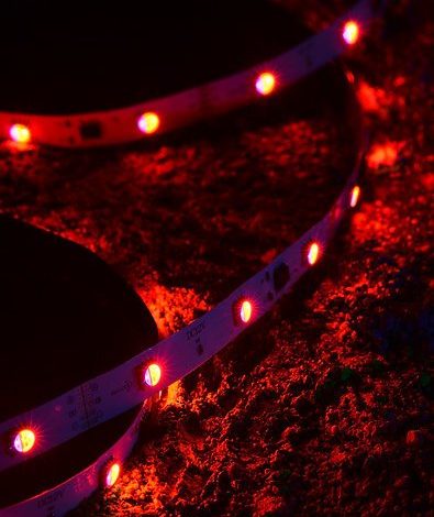 Photo of How To Pick The Best 110v Led Strip Lights