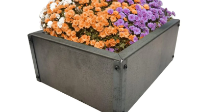 Photo of Raised Garden Bed