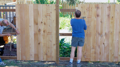 Photo of Top 3 Fences for Your Property