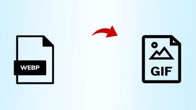 Photo of Quick Solution to Turn WebP File into GIF File Format