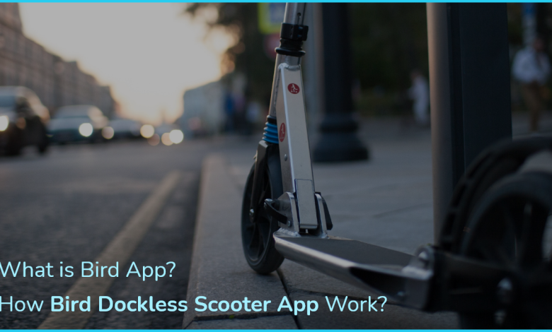 Photo of What is Bird App? How Bird Dockless Scooter App Work?