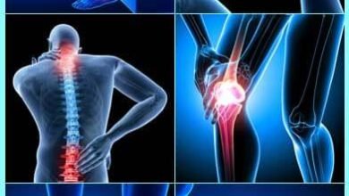 Photo of The Top 5+ Home Treatments for Lower Back Pain Currently Available