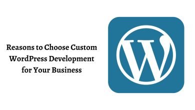 Photo of Reasons to Choose Custom WordPress Website Development for Your Business