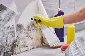 How to get rid of mold and mildew on your walls