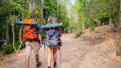 Photo of Top 10 Best Trekking Poles for Trail Hiking