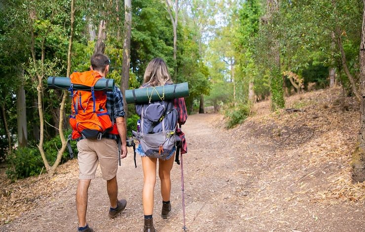 Photo of Top 10 Best Trekking Poles for Trail Hiking