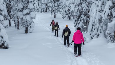 Photo of What You Should Ask About Snowshoes