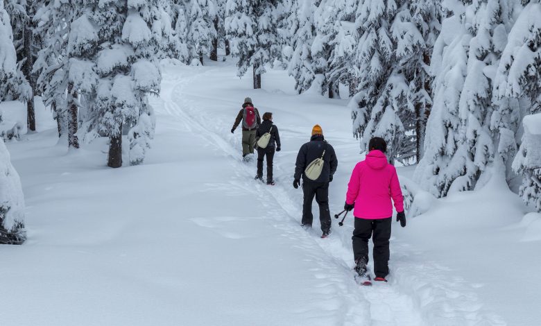 Photo of What You Should Ask About Snowshoes