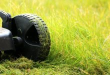 Photo of How Long Does Commercial Landscaping Take?