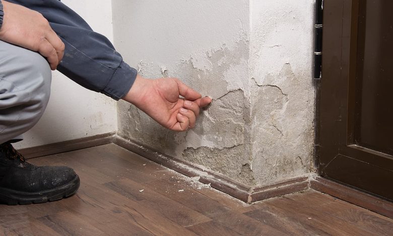 Photo of How to Get Rid of the Dampness Smell in Your Home