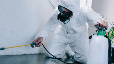 Photo of Tips for dealing with pesky pests by hiring the best pest control service