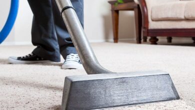 Photo of Why Should You Consider Hiring Professional Carpet Cleaning Services?
