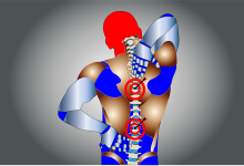 Photo of When back pain is detected and addressed before it becomes chronic,