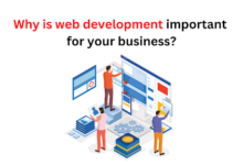 Photo of Why is Web Development Important for Your Business?