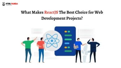 Photo of What Makes ReactJS The Best Choice for Web Development Projects?